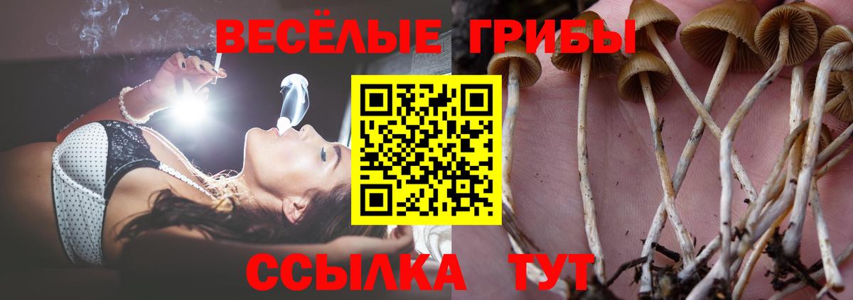 Галлюциногенные грибы мицелий  цены наркотик  Туймазы  Вход с VPN 