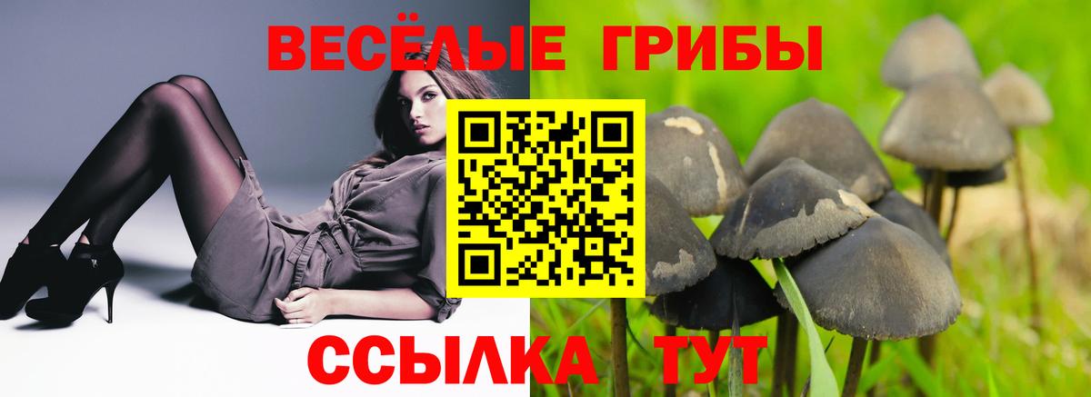 Псилоцибиновые грибы ЛСД Туймазы